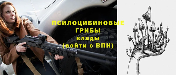 а пвп мука Абаза