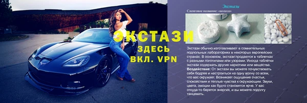 прущие грибы Абинск