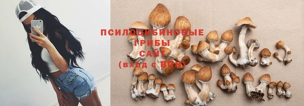 а пвп мука Абаза