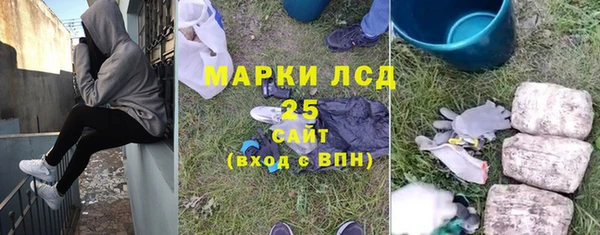 прущие грибы Абинск